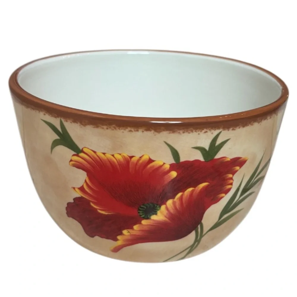 Pier 1 Poppies Bowls 6” Soup / Cereal Bowl Hand Painted Earthenware 4 Pc Set Red